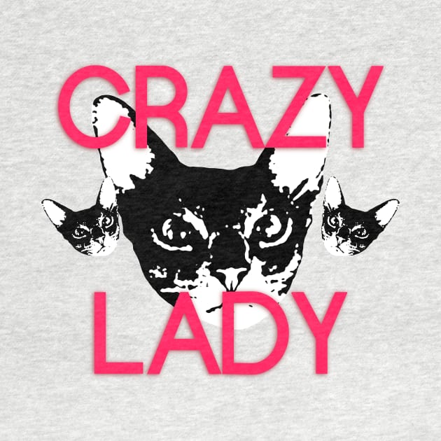 The new crazy cat lady by PolygoneMaste